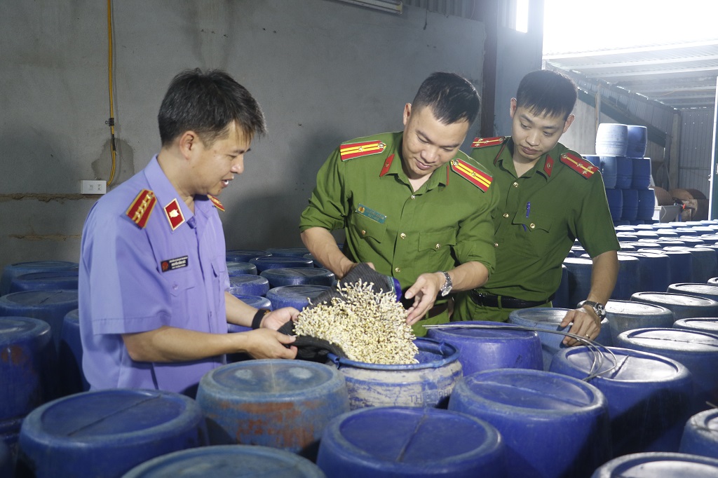 giá đỗ - Ảnh 1.