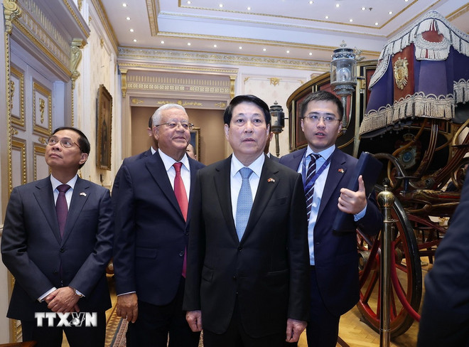 Chủ tịch nước Lương Cường hội kiến Chủ tịch Thượng viện Ai Cập -0