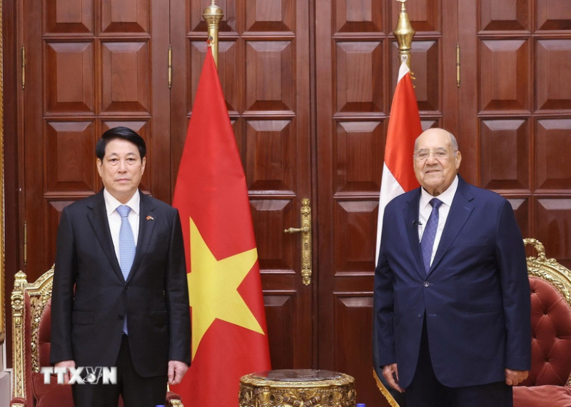 Chủ tịch nước Lương Cường hội kiến Chủ tịch Thượng viện Ai Cập -0