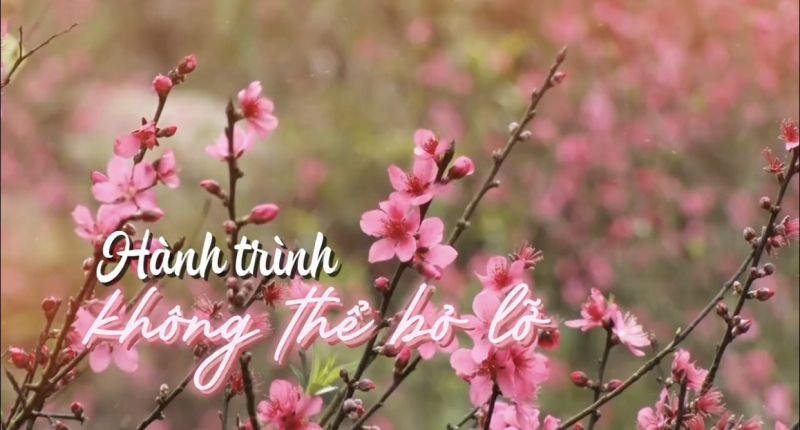 Lễ hội Hoa đào Xứ Lạng 2026 tôn vinh bản sắc văn hóa và tiềm năng phát triển vùng biên -0