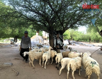 ‘Cú hích’ từ chuyển đổi số trong Chương trình mục tiêu quốc gia