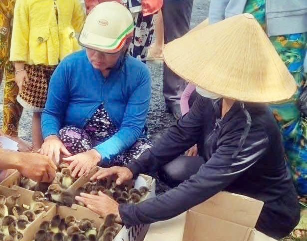 Cựu chiến sĩ Cảnh sát cơ động và hành trình kiến tạo chuỗi liên kết nông nghiệp
