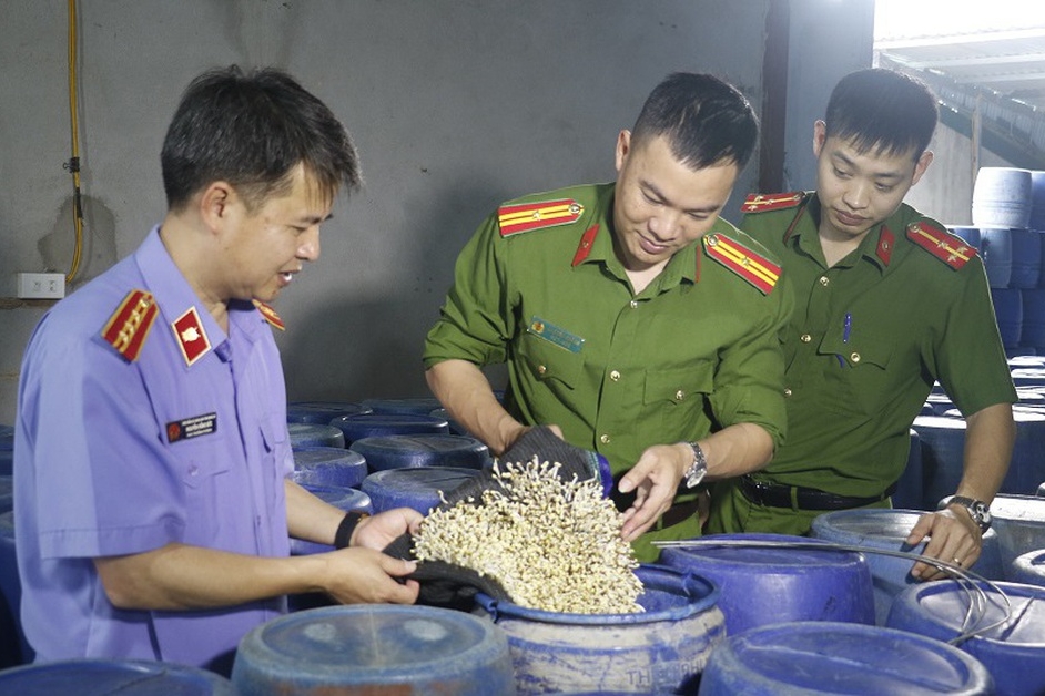 3.500 tấn giá đỗ ngâm hóa chất đã tiêu thụ ở đâu?