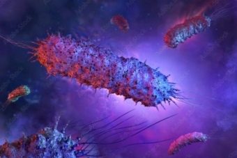 Miếng dán virus tiêu diệt 99.9% vi khuẩn trong thực phẩm