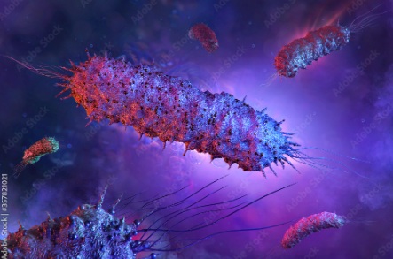 Miếng dán virus tiêu diệt 99.9% vi khuẩn trong thực phẩm