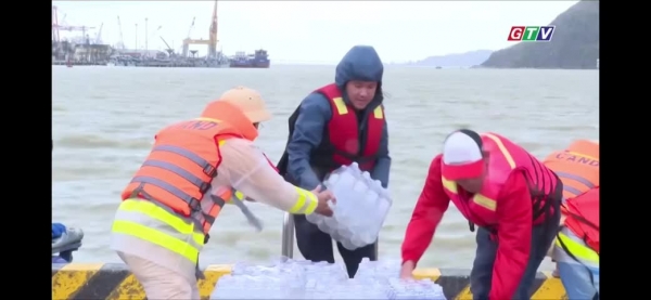 Chung tay vượt qua bão lũ: Toàn Trung và hành trình hướng về Quy Nhơn